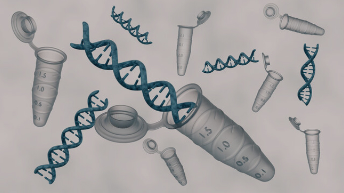 ELAMAT 원료 이미지